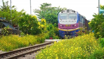 Vé Tàu Hà Nội Đi Quảng Ngãi - Đường Sắt Việt Nam (VNR)